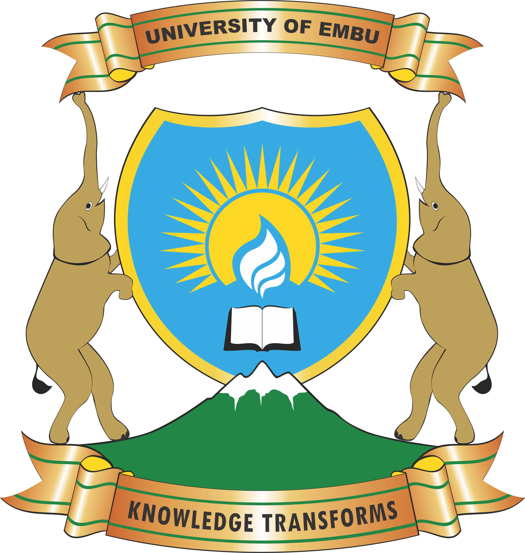 How to Access the University of Embu Student Portal