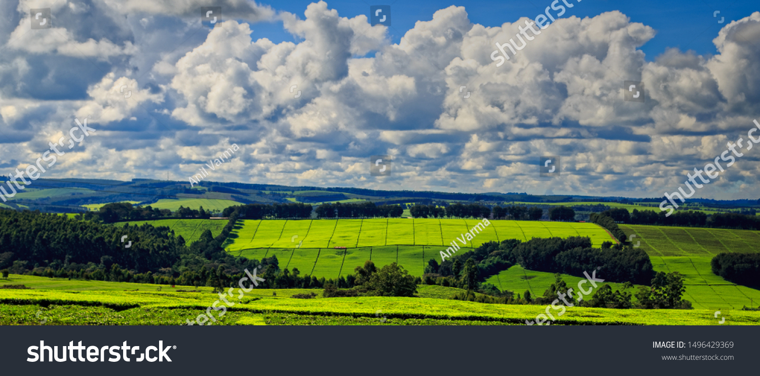 Kericho	County