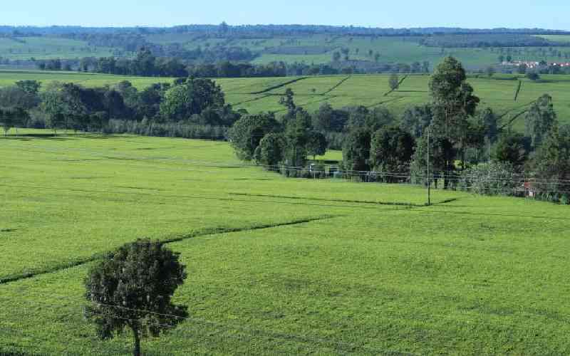 Kericho	County