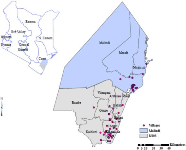 Kilifi	County