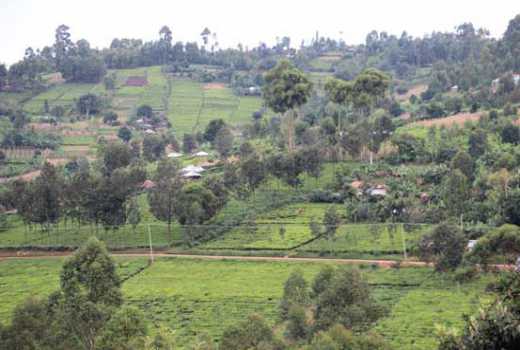 Kisii	County