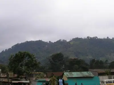 Maua	Town