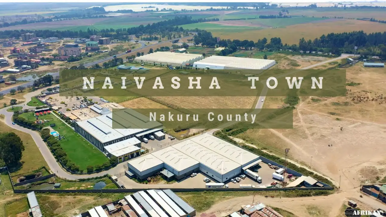 Naivasha	Town