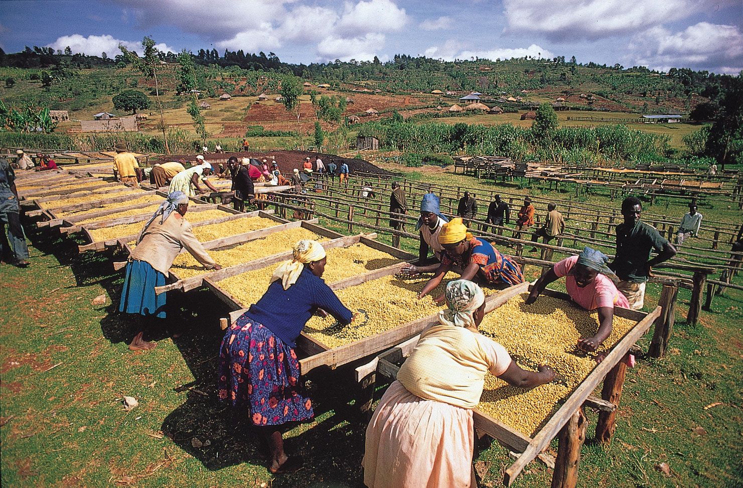 Nyeri	Town