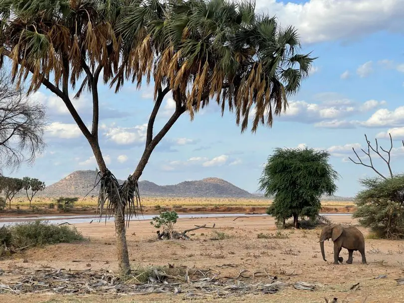 Samburu	County