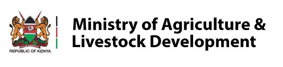 Government and Policy