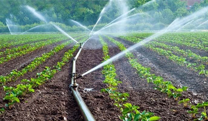 Irrigation and Water Management