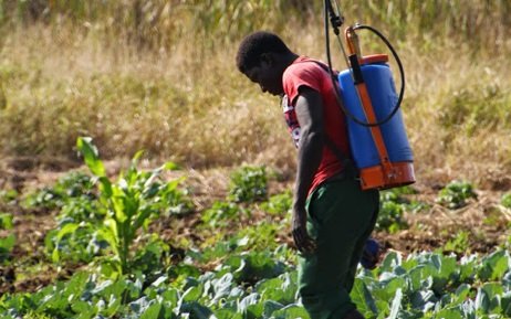 Pest Disease and Weed Control