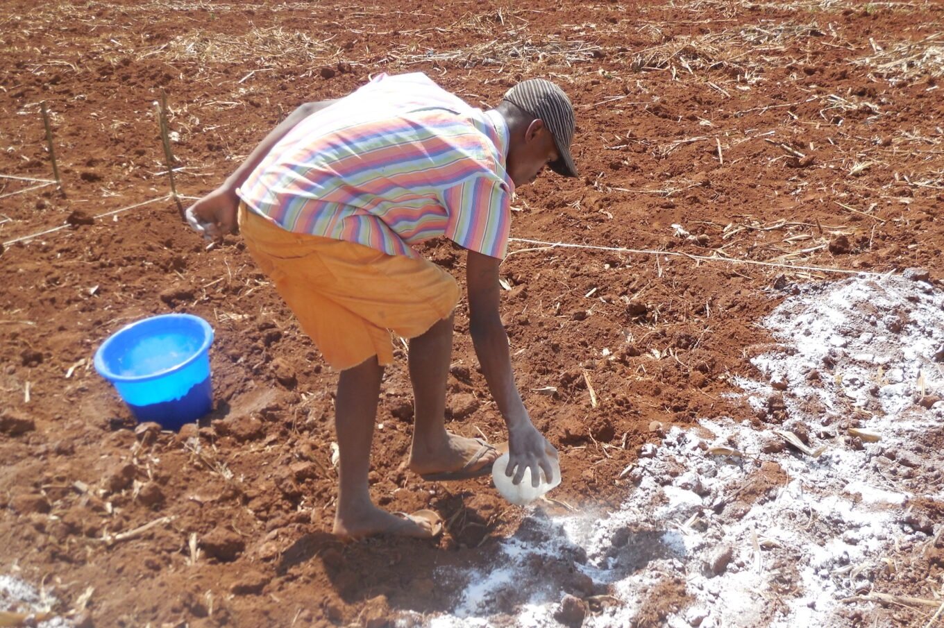 Soil and Land Management